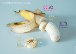 BFE_Infografik Elektrizitätsproduktion