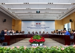 China-Switzerland Working Group